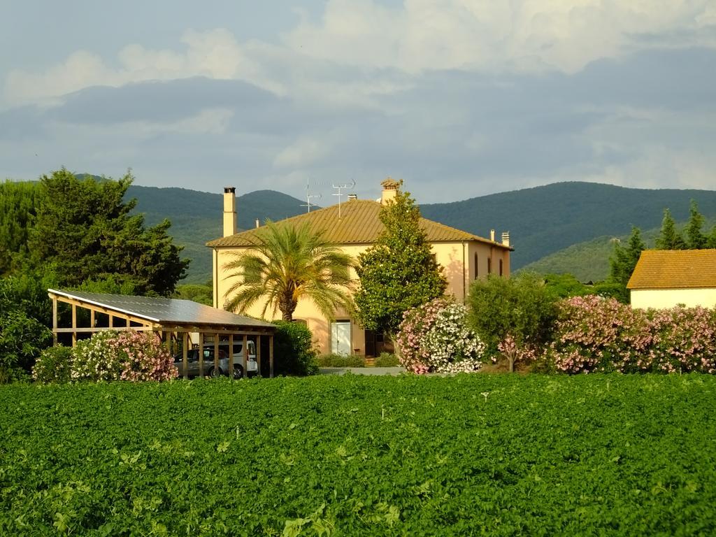 Agriturismo Sant'Uberto Bolgheri Ngoại thất bức ảnh