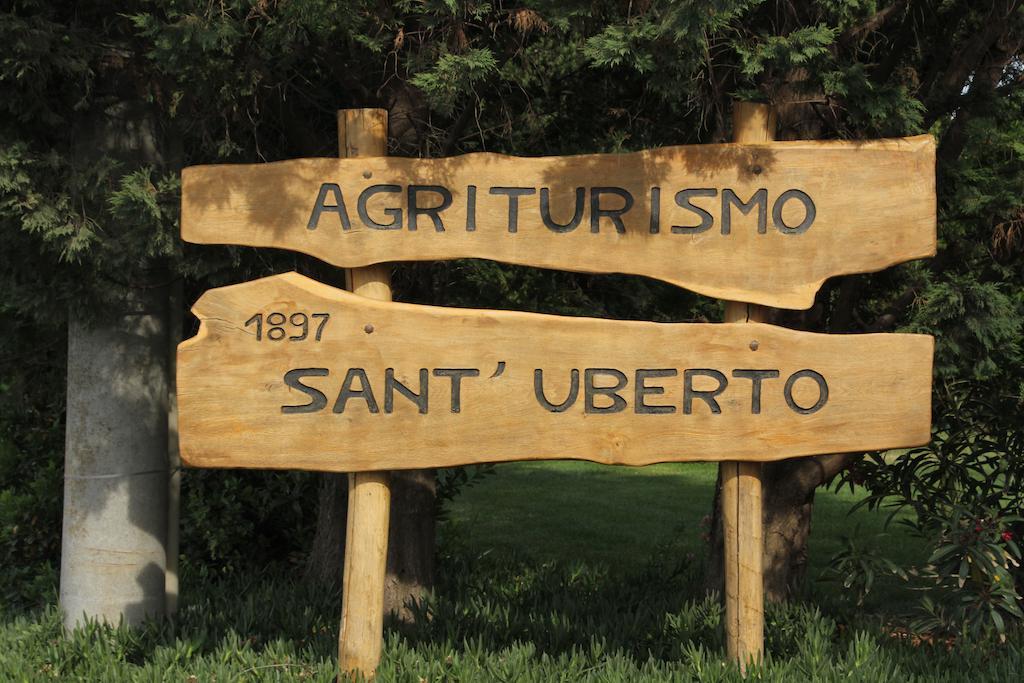 Agriturismo Sant'Uberto Bolgheri Ngoại thất bức ảnh